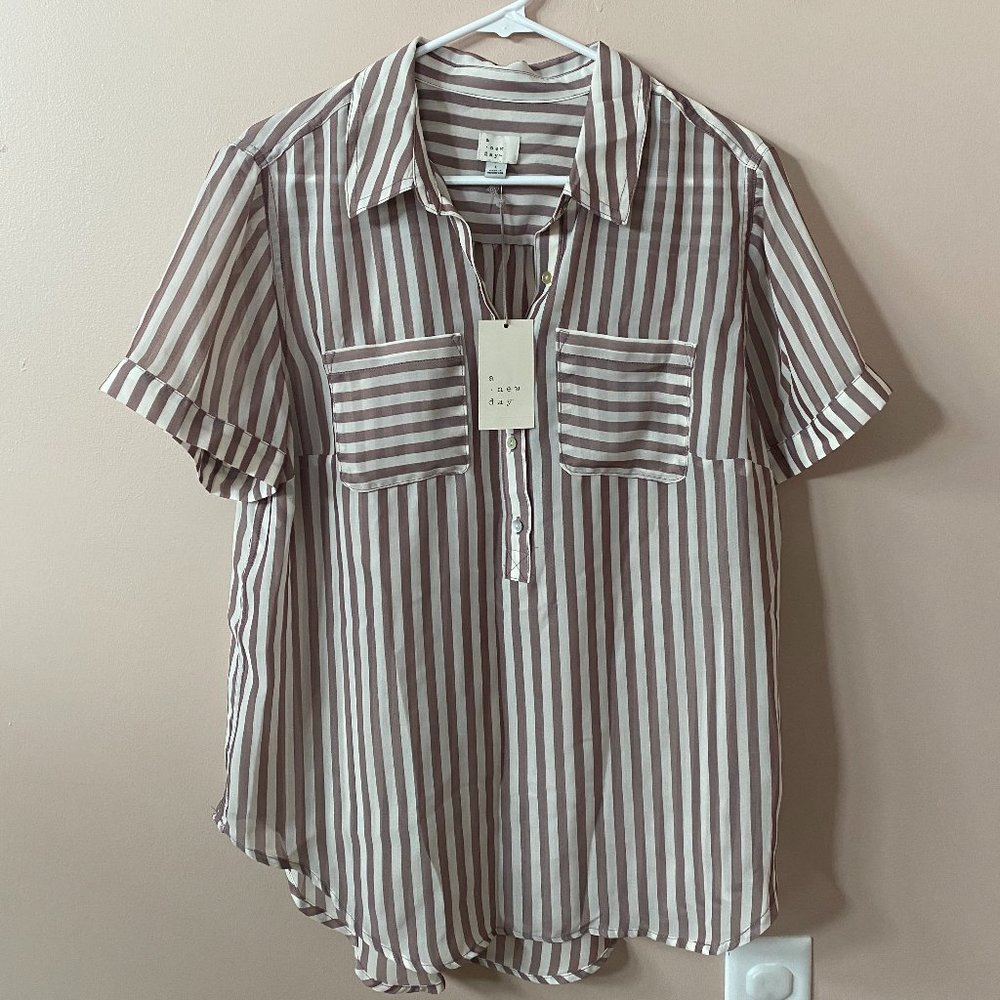 A New Day Sheer Striped Blouse